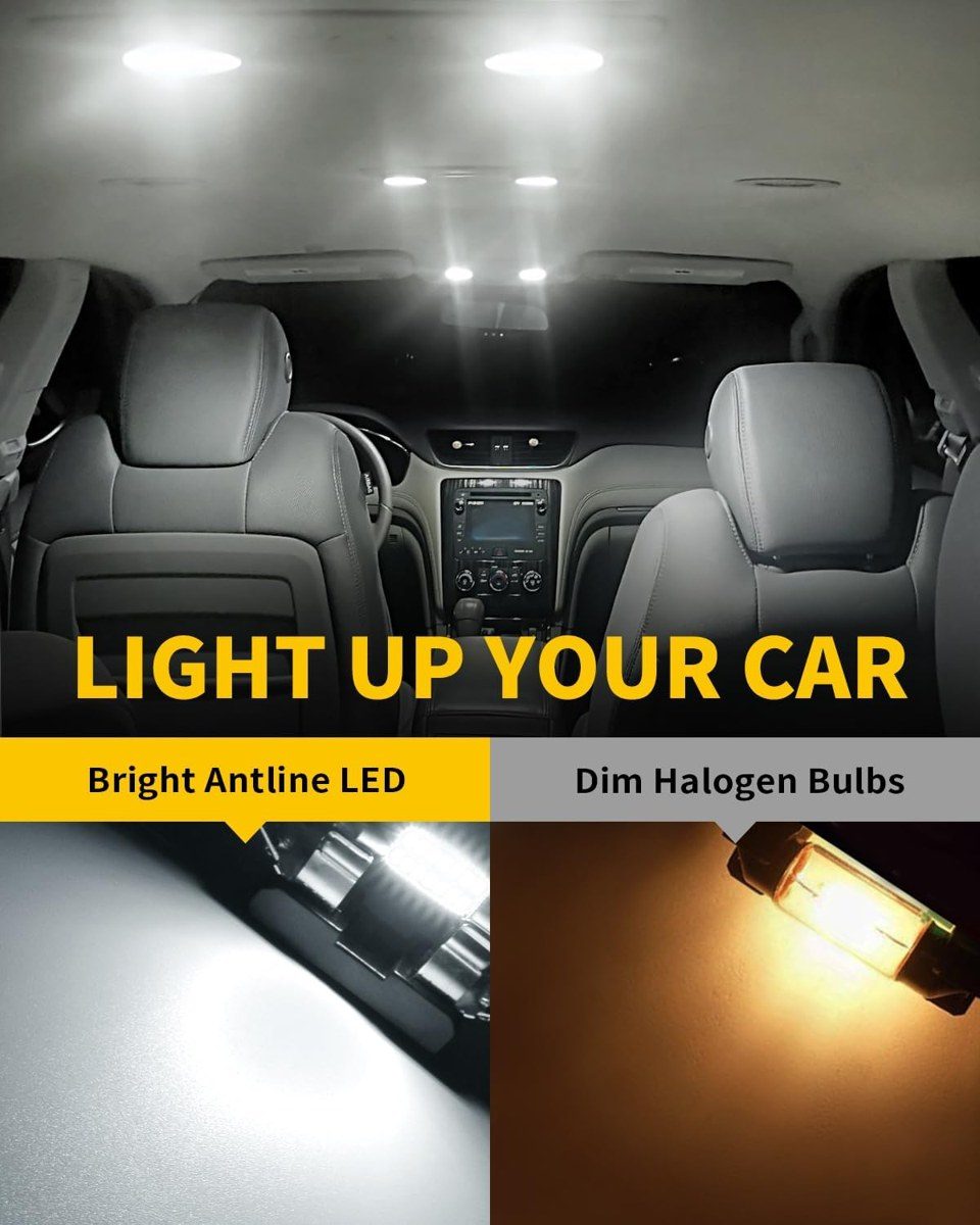Antline Interior & Dash