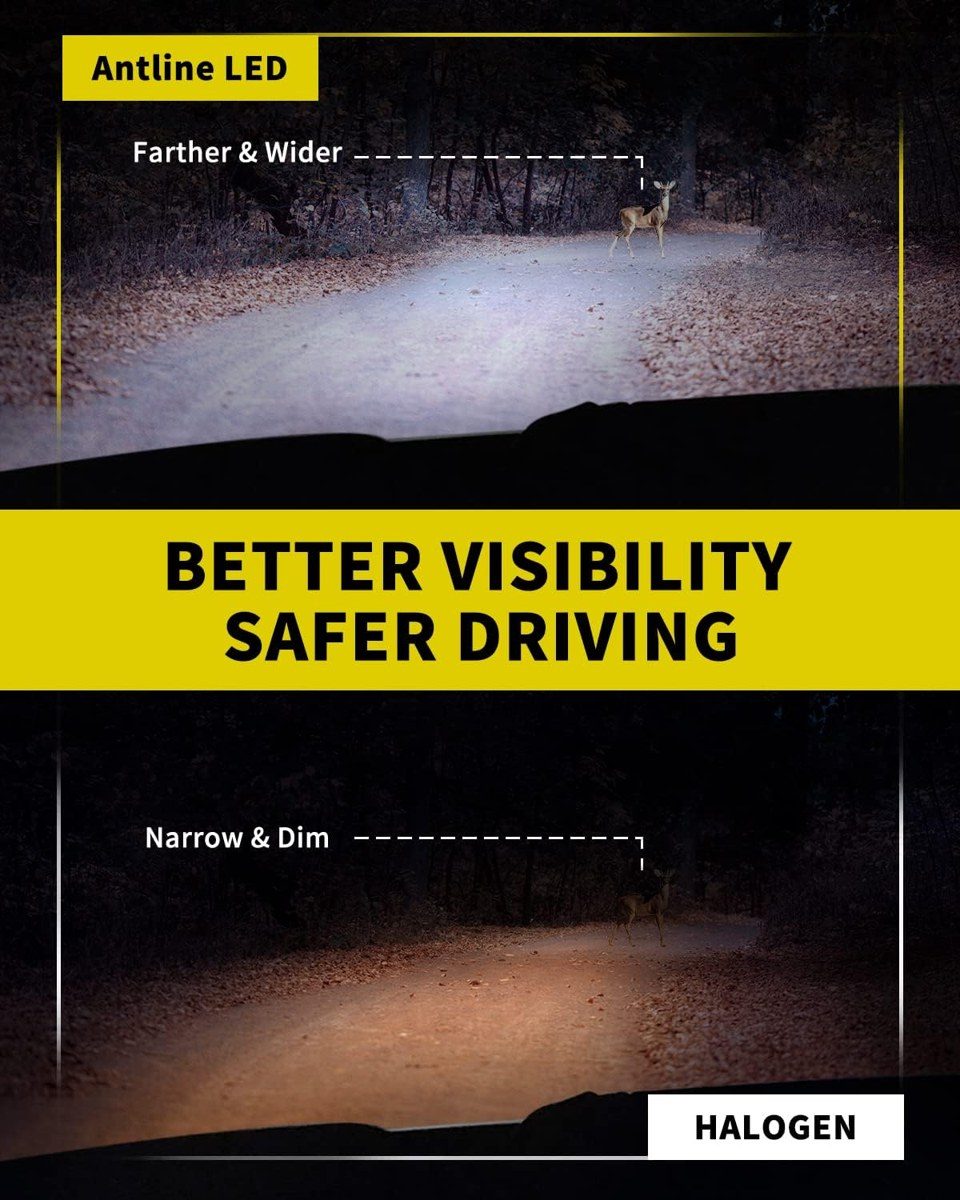 Antline Fog & DRL