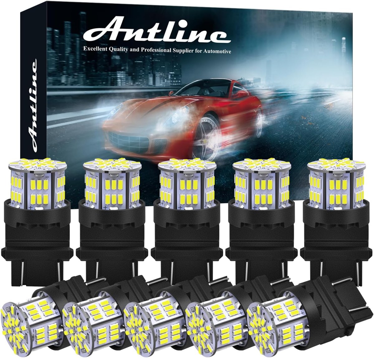 Antline 54-SMD LED Bulbs for RV and Car, 12–24V